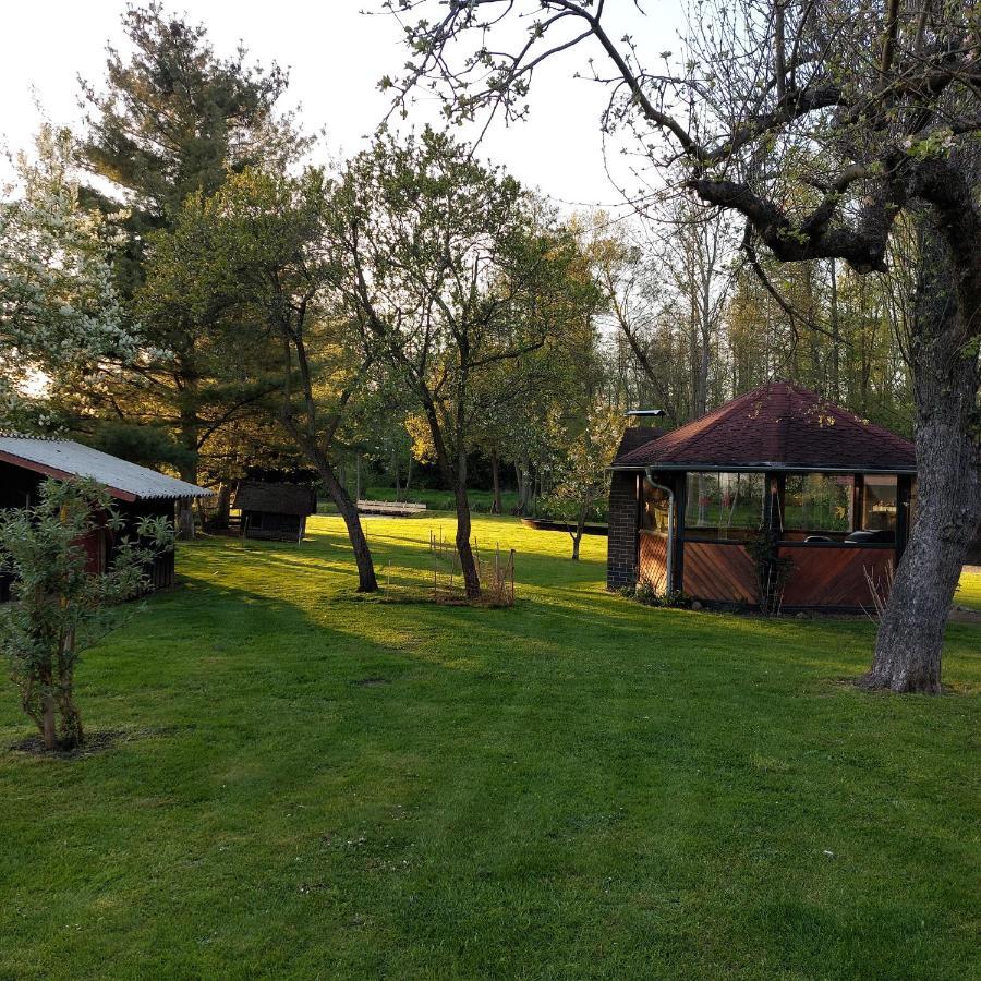 Spreewaldpension Glatz Myšyn Exteriör bild